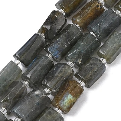 Natural Labradorite Beads Strands G-C270-K19-02-1