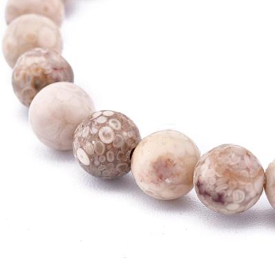 Natural Maifanite/Maifan Stone Bead Stretch Bracelets BJEW-K212-C-044-1