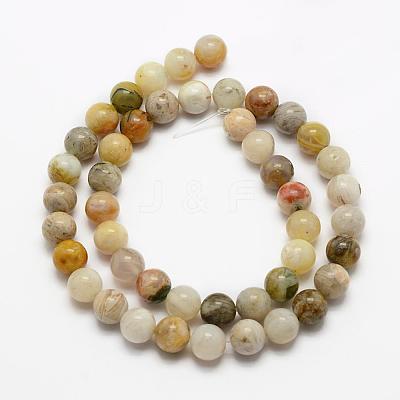 Natural Bamboo Leaf Agate Beads Strands G-K194-6mm-01-1