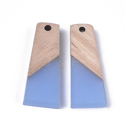 Resin & Wood Pendants RESI-S358-59E-1