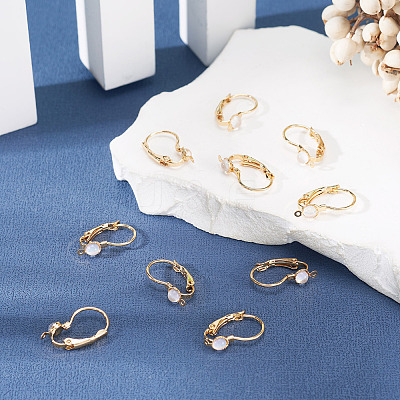 10Pcs Flat Round Brass Glass Leverback Earring Findings KK-TADJ0001-18-1