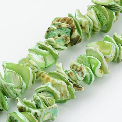 Natural Shell Bead Strands BSHE-P010-05-1