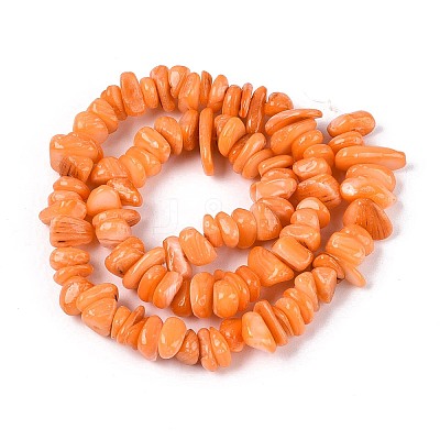 Dyed Natural Freshwater Shell Beads Strands BSHE-T014-55-1