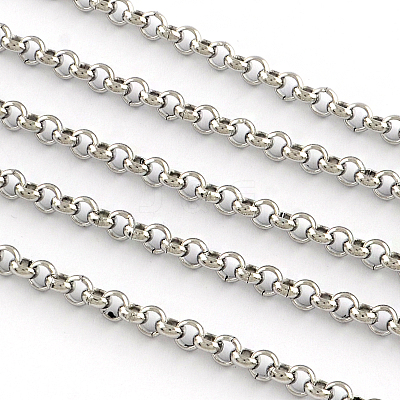 Non-Tarnish 3.28 Feet 201 Stainless Steel Unwelded Rolo Chains X-CHS-R008-17-1