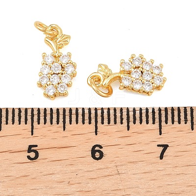 Brass Micro Pave Cubic Zirconia Charms KK-F927-17G-1