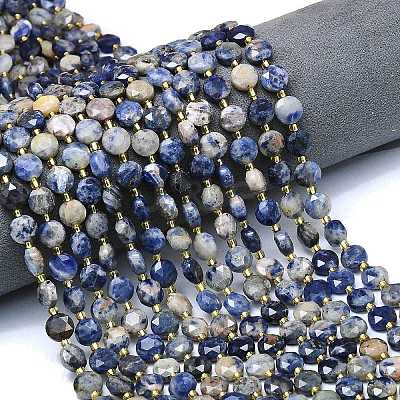 Natural Sodalite Beads Strands G-C116-A80-02-1