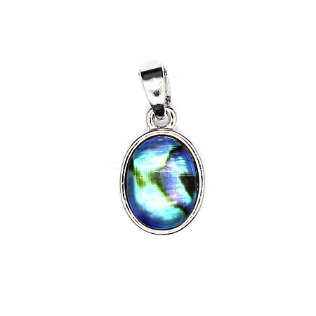 Natural Abalone Shell Charms PW-WG4179D-02-1