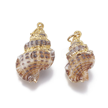 Electroplate Spiral Shell Pendants SSHEL-O019-14-1