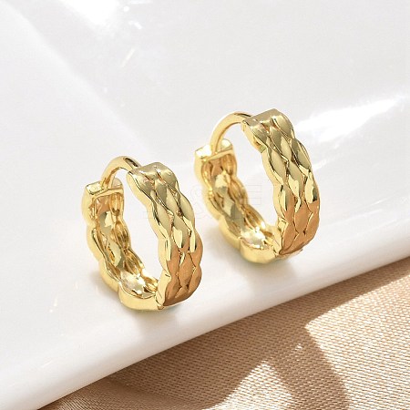 Brass Hoop Earrings EJEW-F359-10G-02-1