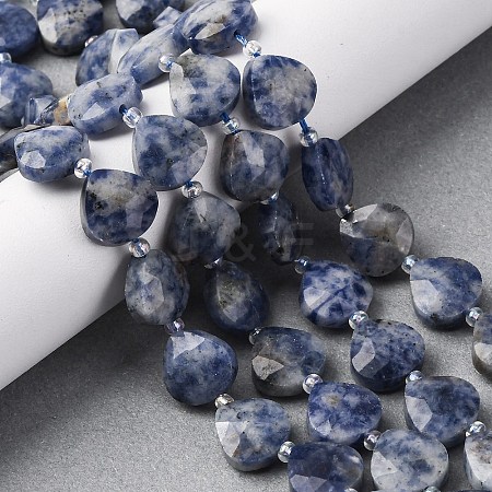 Natural Blue Spot Jasper Beads Strands G-P570-E19-02-1