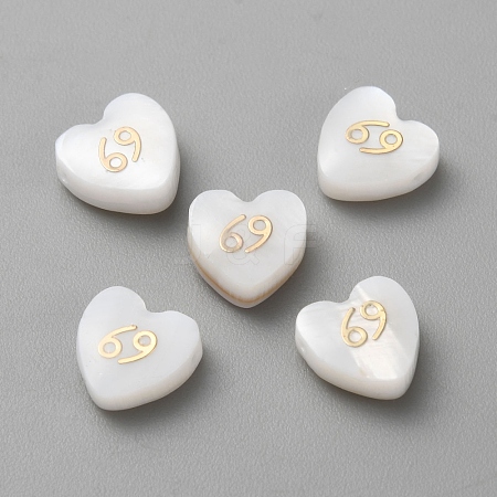 5Pcs Natural White Shell Beads BSHE-TAC0004-02F-1