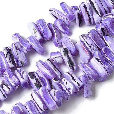 Dyed Natural Trochus Shell Beads Strands SSHEL-C013-09N-1