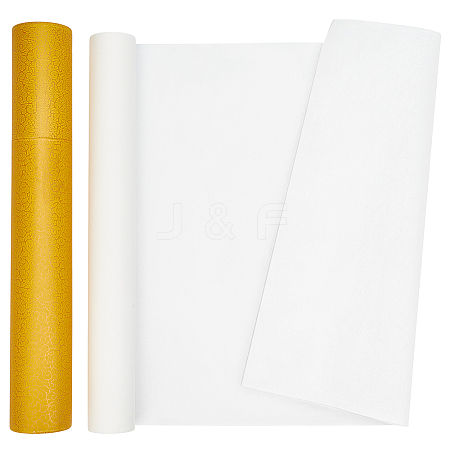 20M Cicada Wing Paper Roll for Calligraphy Painting DIY-BC0017-39A-1