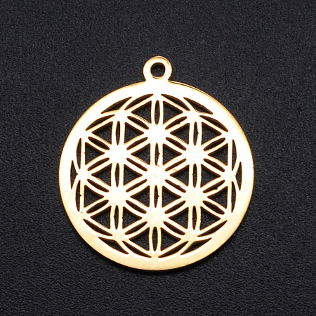 304 Stainless Steel Sacred Geometric Pendants LS-STAS-S105-JN899-2-1