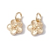 Rack Plating Alloy Charms X-FIND-G036-02LG-1