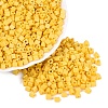 FGB Baking Paint Glass Seed Beads SEED-Q040-09A-09-1