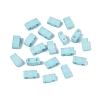 2-Hole Glass Seed Beads SEED-S023-31B-05-1