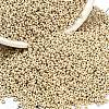 TOHO 6/0 Demi Round Beads X-SEED-DR06-PF558F-2