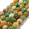 Faceted Natural Fire Crackle Agate Beads Strands G-F447-12mm-M01-1