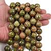 Natural Unakite Beads Strands G-C249-A174-16mm-1