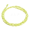 Natural Freshwater Shell Beads Strands SHEL-C010-01D-3