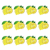 12Pcs Computerized Embroidery Polyester Iron on/Sew on Patches DIY-MA0007-24-1