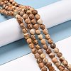 Natural Picture Jasper Beads Strands G-E571-28A-2