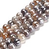 Electroplated Natural Botswana Agate Round Beads Strands G-L598-A03-03-2