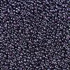 MIYUKI Round Rocailles Beads X-SEED-G007-RR0170-3