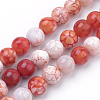 Natural Weathered Agate Beads Strands G-S249-07-10mm-1