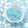 Baking Paint Glass Seed Beads SEED-A033-05P-2