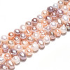 Natural Cultured Freshwater Pearl Beads Strands PEAR-N013-05C-04-5