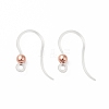 Transparent Resin Earring Hooks LS-RESI-G050-01RG-1