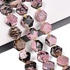 Natural Rhodonite Beads Strands G-N368-01A-22-1