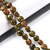 Natural Unakite Beads Strands G-T047-A21-01-2