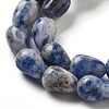 Natural Blue Spot Jasper Beads Strands G-B106-A15-01-4