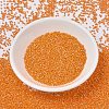 MIYUKI Delica Beads SEED-JP0008-DB1573-2