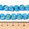 Handmade Lampwork Beads Strands LAMP-T021-26H-4