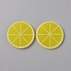 Fruit Theme Plastic Cabochons KY-WH0004-22B-1