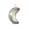 Natural Abalone Shell/Paua Shell Pendants PALLOY-JF02701-02-1