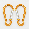 Aluminum Carabiners LS-EA026-09-1