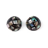 Synthetic Abalone Shell/Paua Shell Beads LS-SSHEL-K001-001C-1