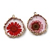 Inner Dried Flower Resin Pendants RESI-P028-02KCG-03-2