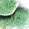 8/0 Glass Seed Beads SEED-Z001-C-E01-1