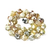 Natural Fire Crackle Agate Beads Strands G-U023-A16-02-3