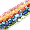 Natural White Shell Beads Strands SHEL-N036-21-1