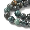 Natural Dioptase Beads Strands G-D302-02-8mm-4