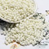 Macaron Color Opaque Frosted Glass Seed Beads X1-SEED-K009-12B-16-1