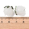 Handmade Lampwork Beads LAMP-F041-02F-4