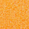 8/0 Glass Seed Beads SEED-A015-3mm-2202-2